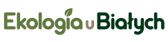 logo - strona główna